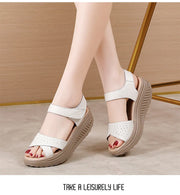 Women Sandals Wedge Heels Sandals Summer Shoes For Women Elegant Heeled Sandalias Mujer Summer Footwear Female Wedges Shoes New