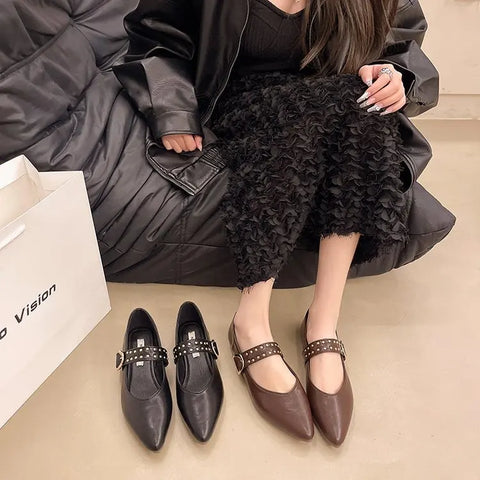 2025 New Pointed Toe Fashion Women Shoes Spring Autumn Elegant Party Daily Low Heels Pump Footwear Women Minimalist Flats Shoes