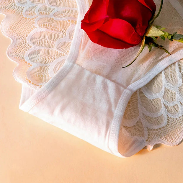 Womens Briefs Sheer Mesh Perspective Lace Panties Breathable Transparent Underpants Low-rise Sexy Bowknot Underwear Bikini